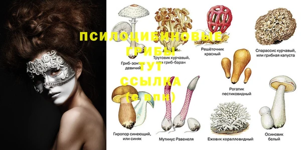 COCAINE Алексеевка