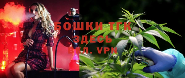 прущий лед Алексин