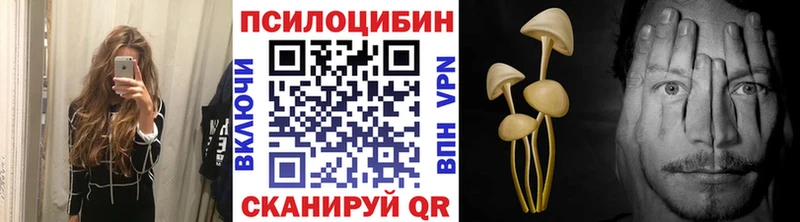 Псилоцибиновые грибы Psilocybe  Черемхово 