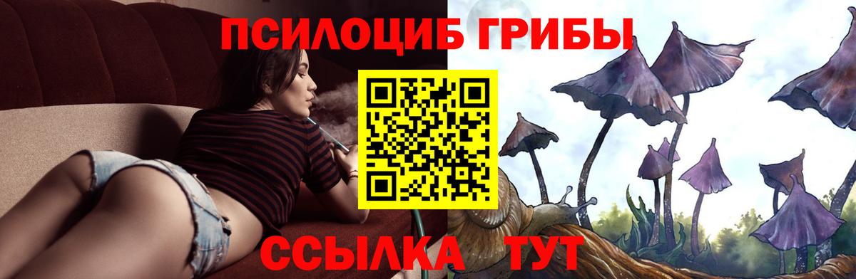 Галлюциногенные грибы прущие грибы Черемхово